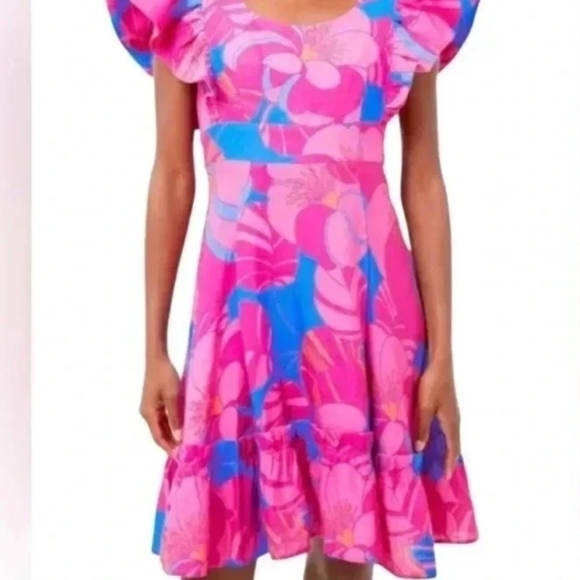 TUCKERNUCK X CAMERAN EUBANKS WIMBERLY Wild Azalea Edisto Dress - Picture 1 of 9